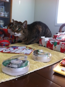 The little fur person "helping" with wrapping presents